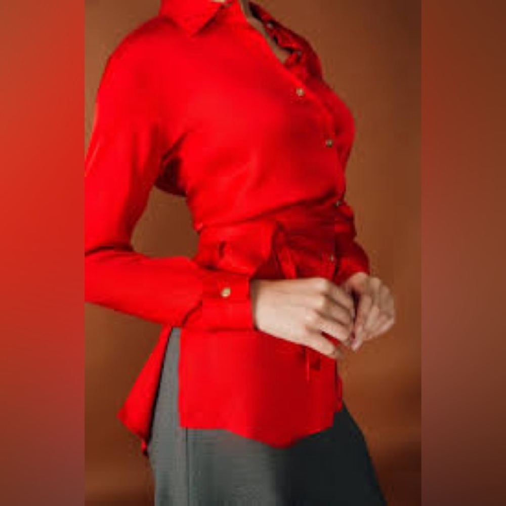 NWT Chloe Kristyn Erin Button Down Top with Tie Belt - Picture 4 of 13